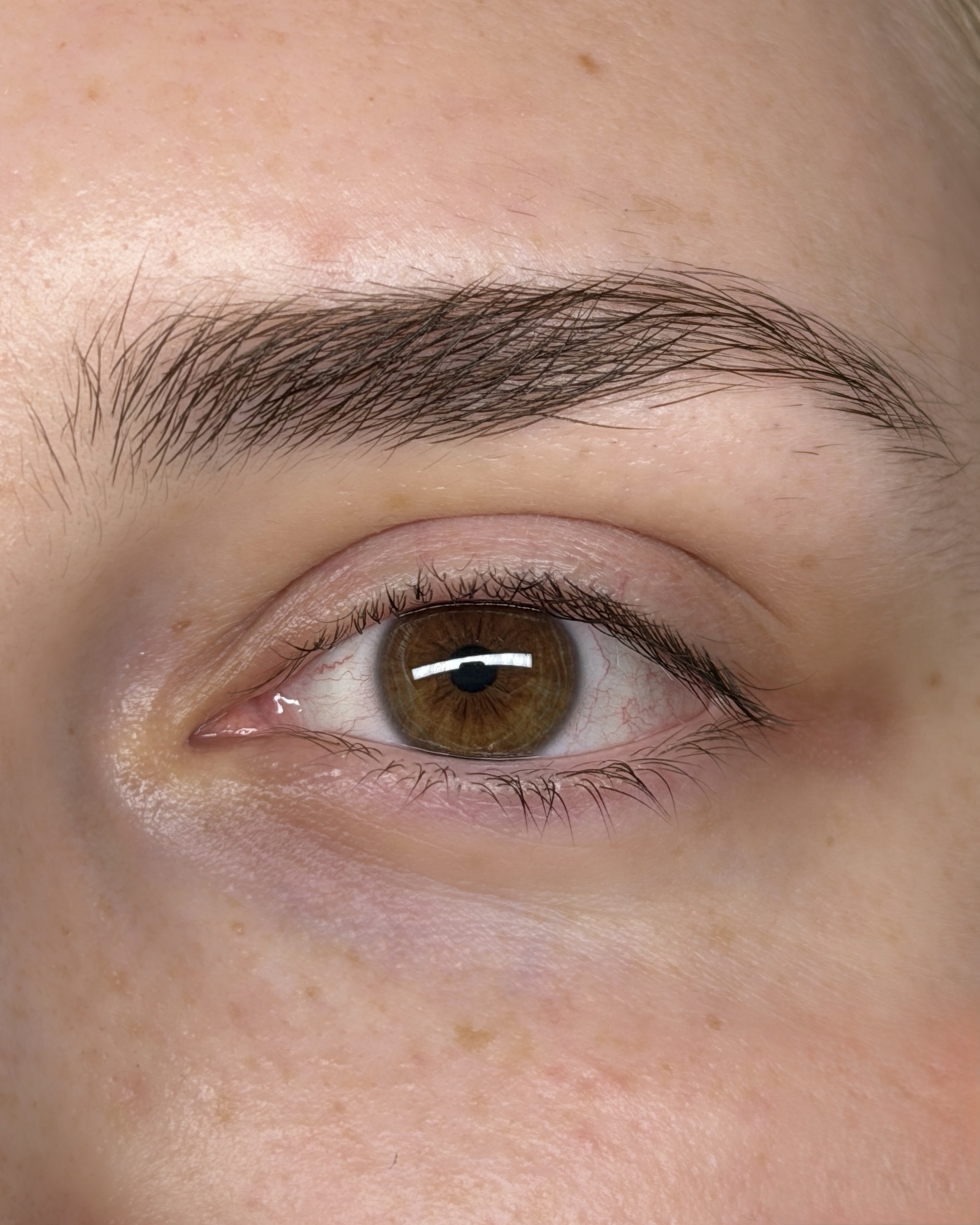 54ED1152-E311-45F3-BD26-7070538BA41B